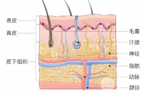 纹眉医院还是外面好