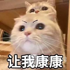 护肤抗衰