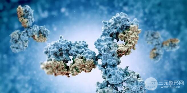 继发性无反应(SNR)