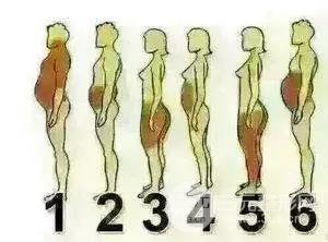 明星凭什么胖着玩玩说瘦就瘦？靠吃减肥药吗？