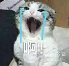 明星凭什么胖着玩玩说瘦就瘦？靠吃减肥药吗？