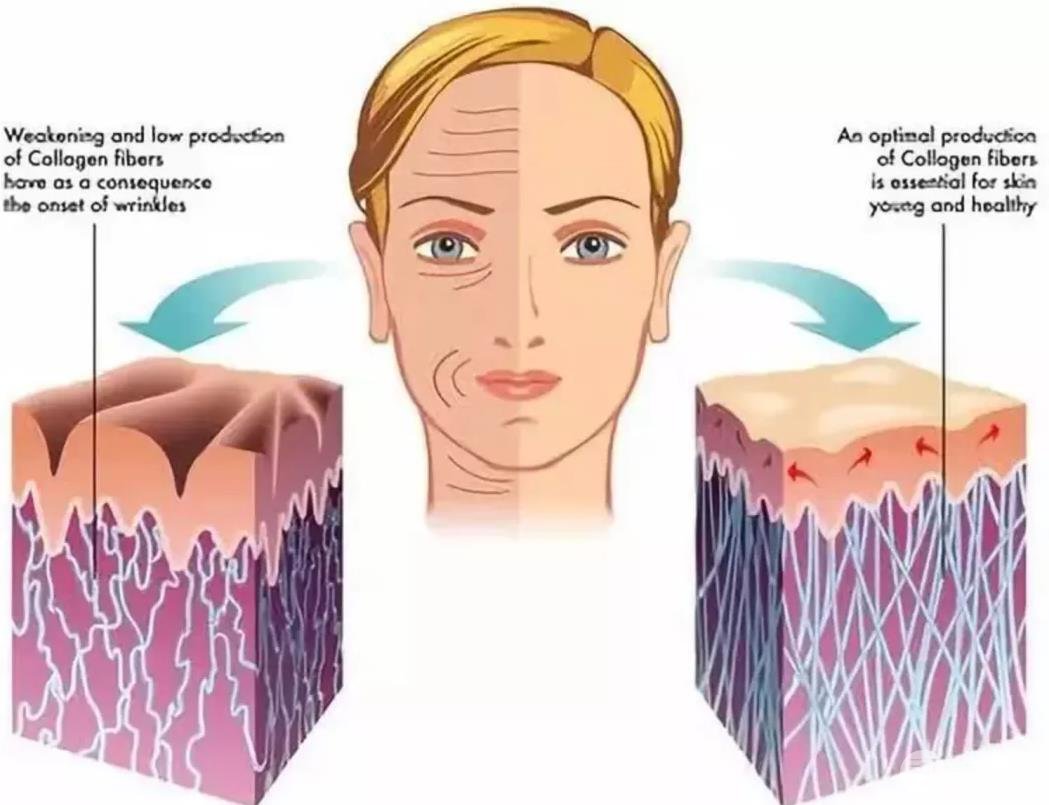揭秘丨30+“浪姐”们同时安利的热玛吉真的有果吗?