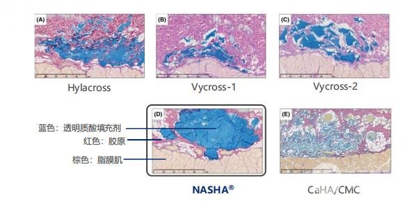 不会吧!不会吧!不会真的还有人不知道瑞蓝丽缇吧?