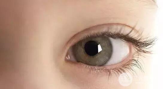 发生机制的思考