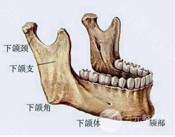 磨骨需要多少钱呢？影响因素有哪些？