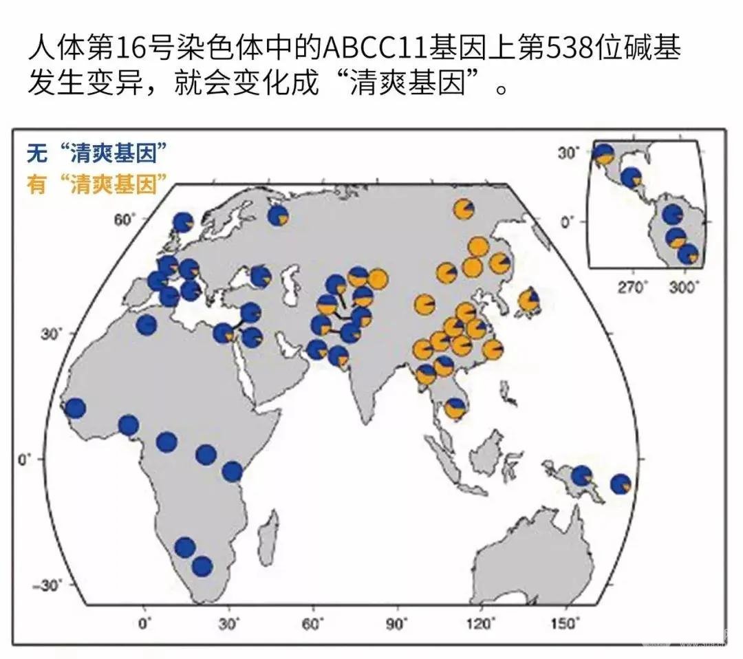 影响狐臭的因素
