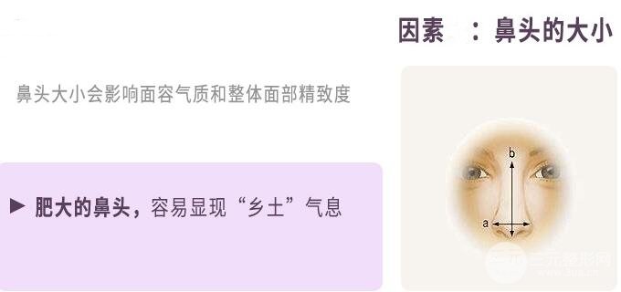 鼻头鼻翼整形