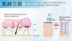 注射补水多少钱?为什么注射补水完皮肤变得更糟了? 注射补水多少钱?为什么注射补水完皮肤变得更糟了?