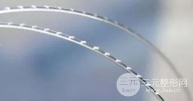 意大利抗衰线