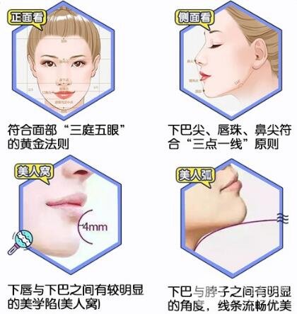 下巴美学标准