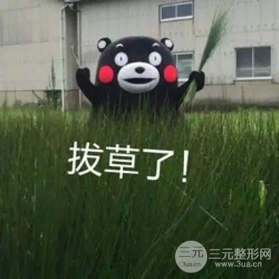 洗脸仪拔草