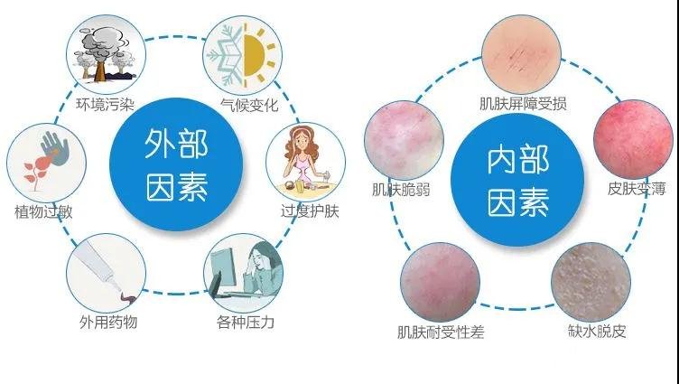 皮肤问题来源