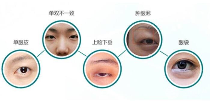 项目和价格