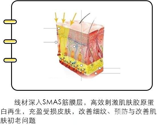 手术过程