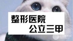 河南整形医院排名前三都是网红人气医美！可以放心选