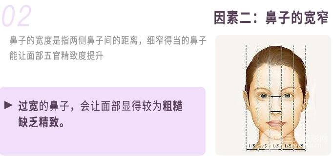 鼻翼缩小美学标准