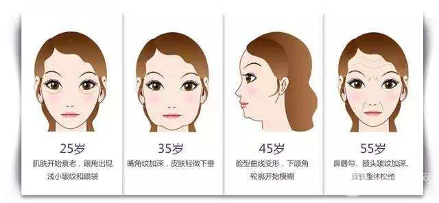 不同年龄段衰老