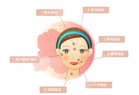 玻尿酸的作用原理