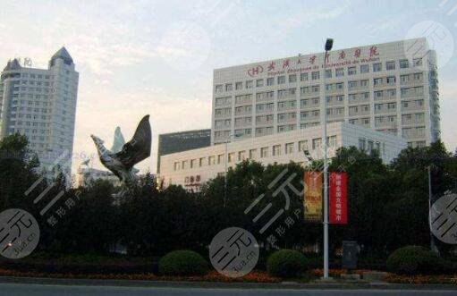 武汉中南医院整形美容科黄磊医生怎么样?医生简介