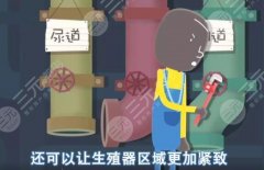 欧洲之星私密仪器原理解析，技术优势有哪些？