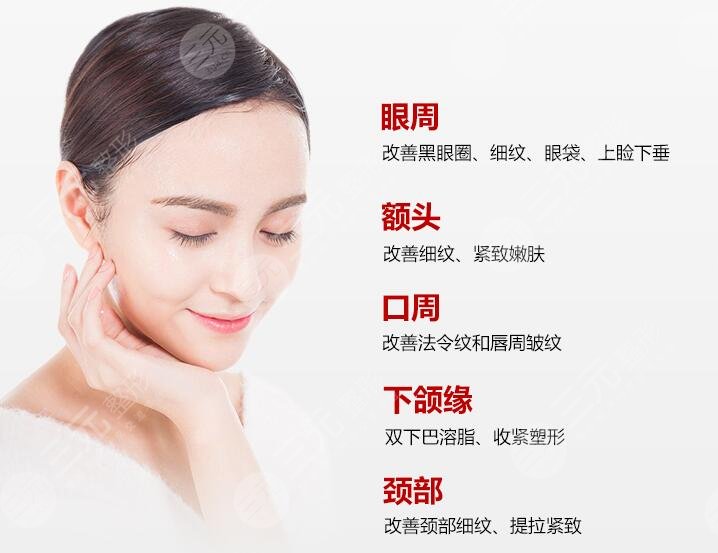 火凤凰溶脂简介