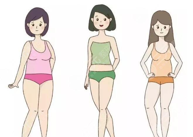 欧洲之星火凤凰纤体溶脂好不好？优势解析|塑形案例