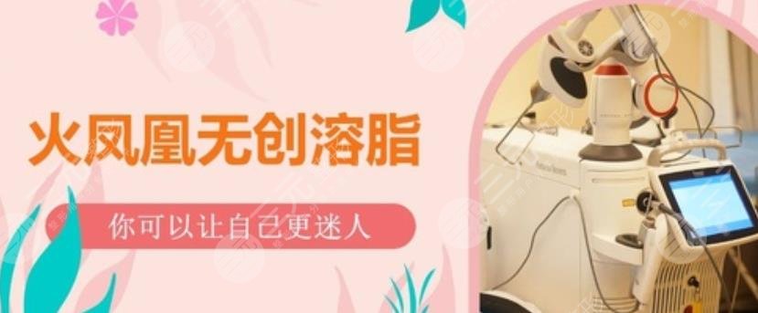 火凤凰溶脂机价格