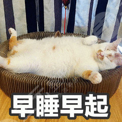 恢复注意事项