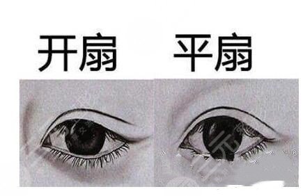 平扇和开扇的果图