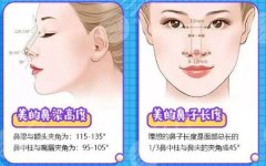 鼻尖整形多久恢复，费用多少钱？方法有哪些？