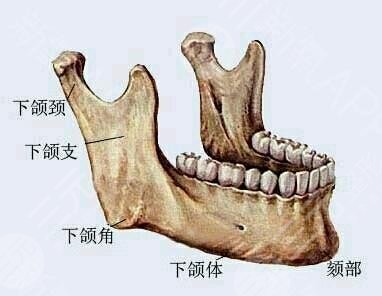 上海九院下颌骨手术多少钱