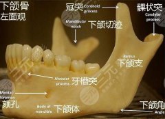 骨头大打注射瘦脸有吗？怎么让脸变小？