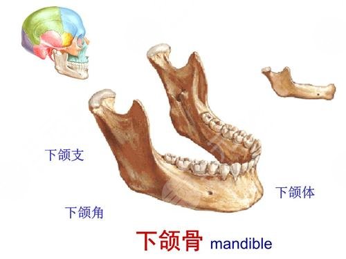 削骨瘦脸手术风险大吗