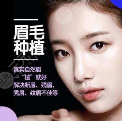 种眉毛果图分享，帅气or美眉？缺了ta不行！