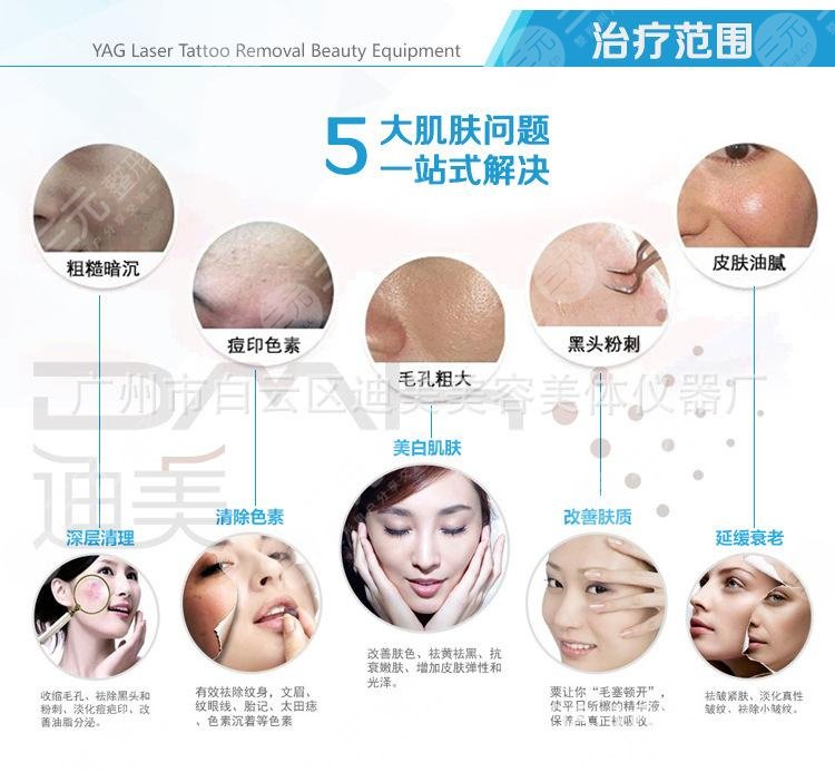 黑脸娃娃果怎么样？