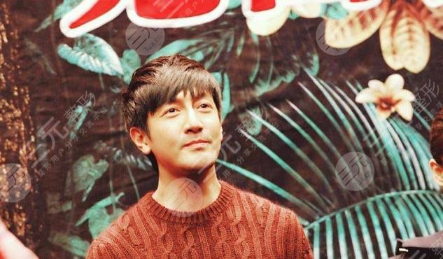 张鲁一整容前后对比照片国民男神是整出来的