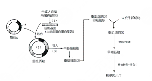 恩喜整形医院细胞重组安多果盘点【真人图】