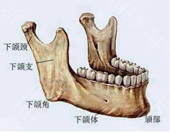 磨下颌骨要多少钱