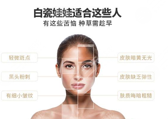 适合白瓷适合哪类人群