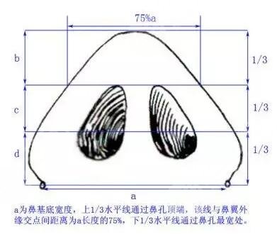 垫鼻头手术多少钱