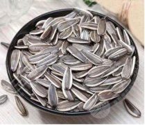 瓜子牙怎么形成的？真的是因为瓜子吗？别纠结了，还不赶紧补救！