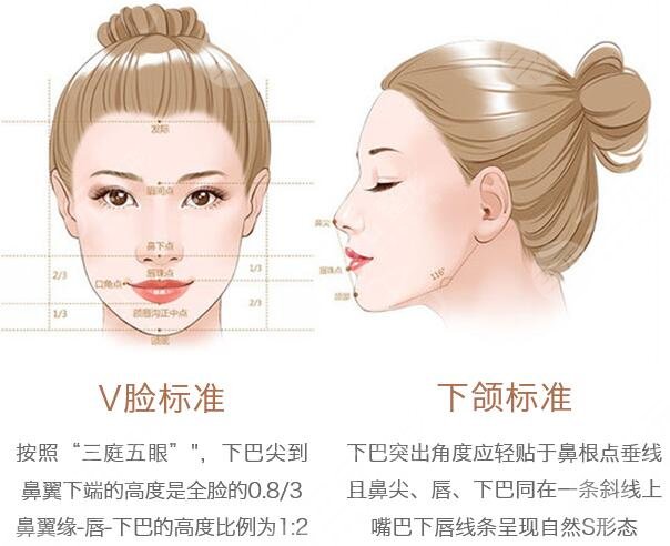 下巴