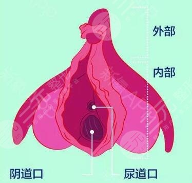 私处嫩红手术果理想吗
