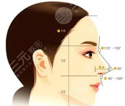 自体软骨隆鼻术多少钱