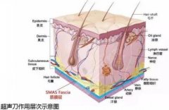 面部抗衰价格是多少?怎么防止脸部肌肤老化?日常攻略~ 面部抗衰价格是多少?怎么防止脸部肌肤老化?日常攻略~