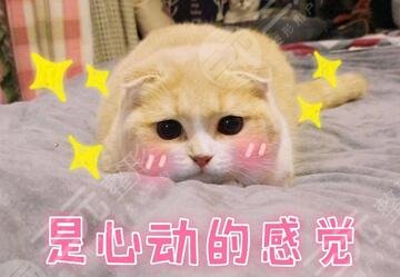 复合彩光去红血丝的价格