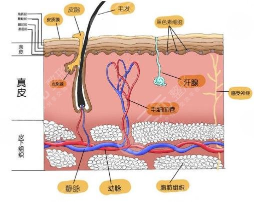 彩光缓解黄褐斑有什么禁忌