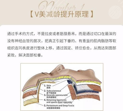 v美减龄面部抗衰