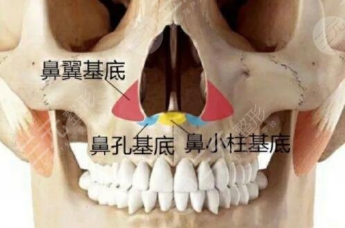 做肋骨鼻对身体有影响吗