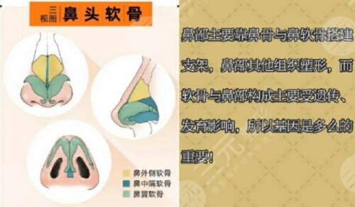肋软骨隆鼻的手术原理